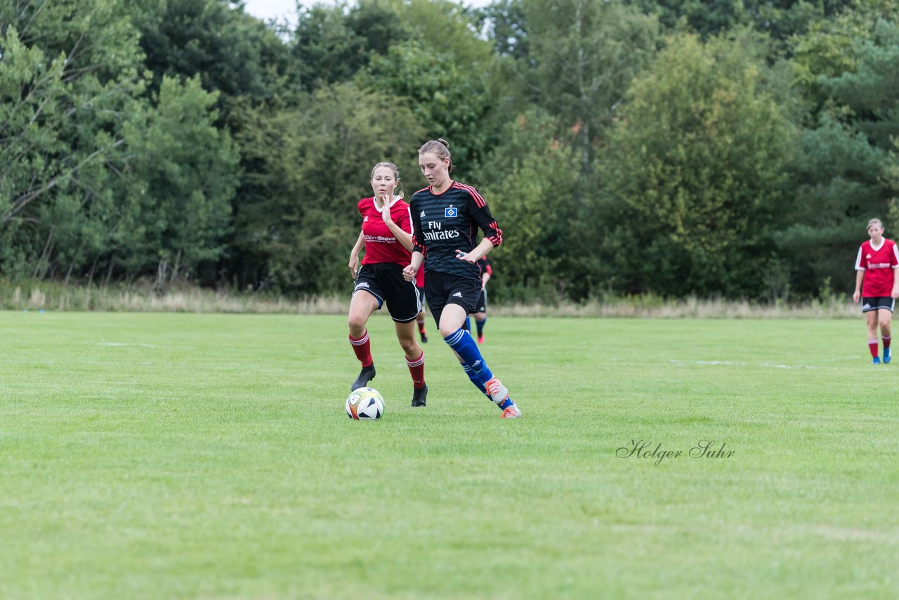 Bild 111 - Frauen SG NieBar - HSV 2 : Ergebnis: 4:3